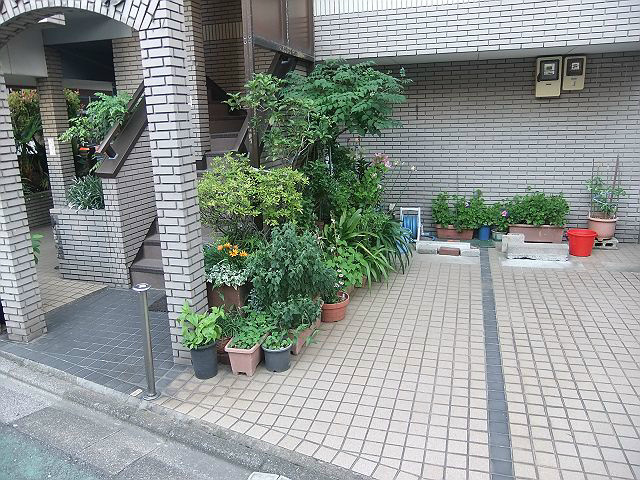 メゾンリエール  その他3