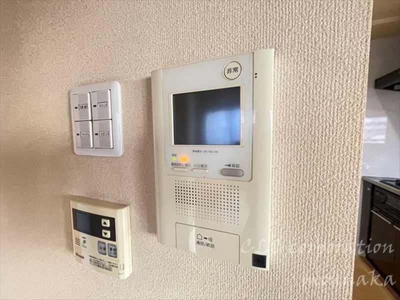 レシオイシワラ  その他1