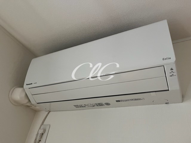 カーサリリー その他4