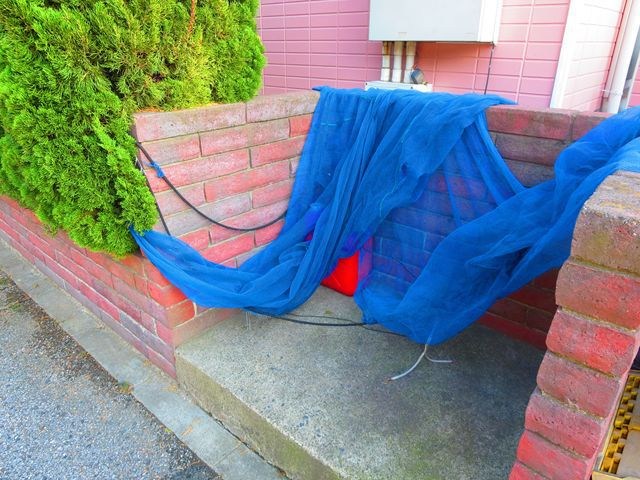 オネモス西綾瀬 その他8