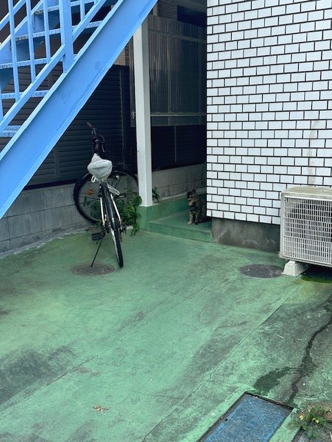 その他6