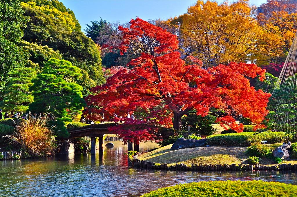 文京ツインタワー 周辺画像6