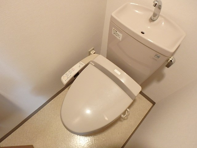 RAIA その他11