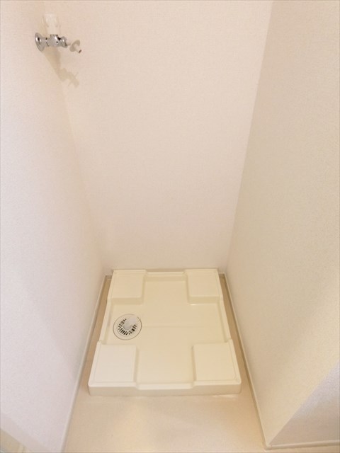プリムローズ その他6
