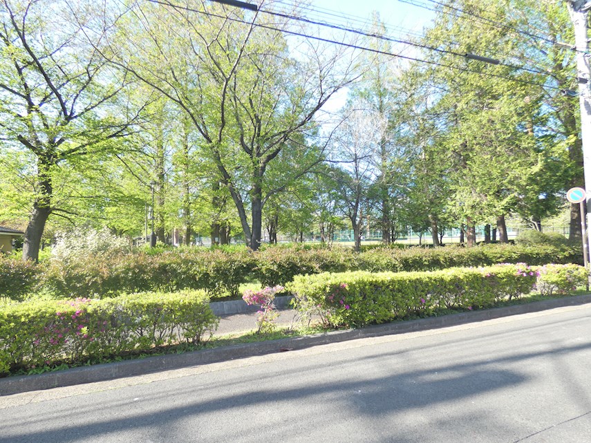 パークヒル東綾瀬 周辺画像5
