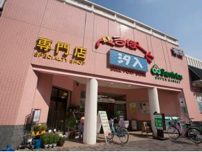 MAXIV北千住 周辺画像5