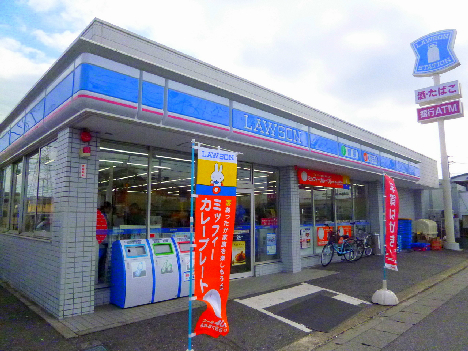 グランデルタ 周辺画像5