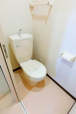 リリックコートハイビスカス その他2