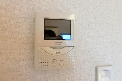 リリックコートハイビスカス その他5