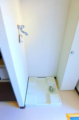 リリックコートハイビスカス その他6