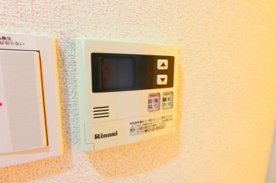 リリックコートハイビスカス その他7