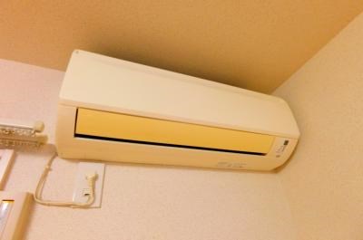 リリックコートハイビスカス その他8