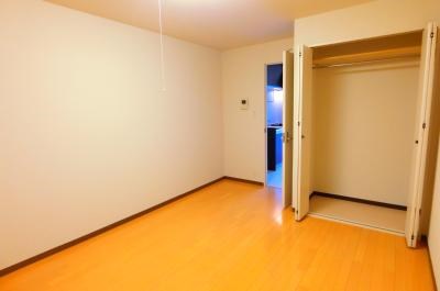 リリックコートハイビスカス その他10