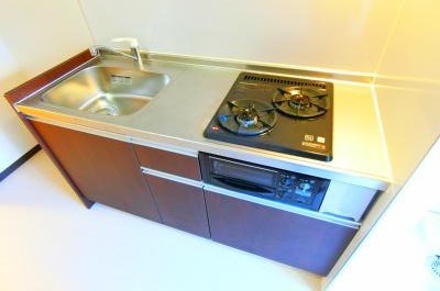 リリックコートハイビスカス キッチン