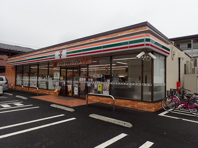 リリックコートハイビスカス 周辺画像4
