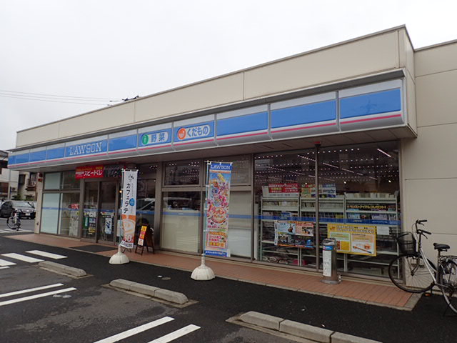 リリックコートハイビスカス 周辺画像7