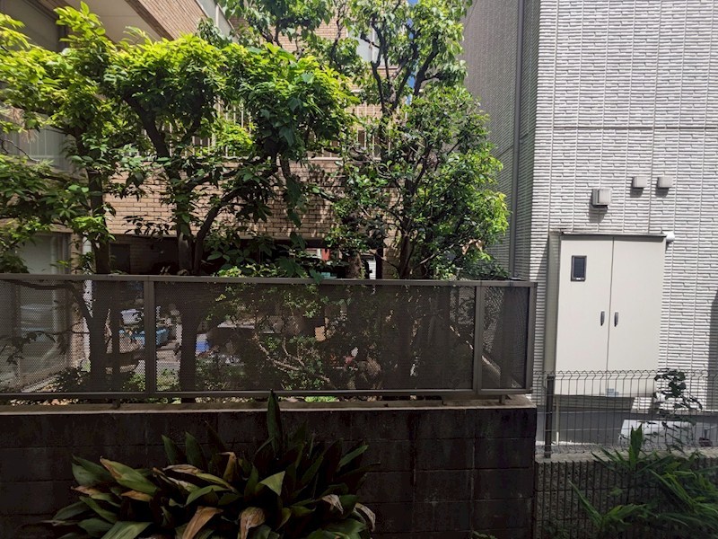 中野ハイム   その他6