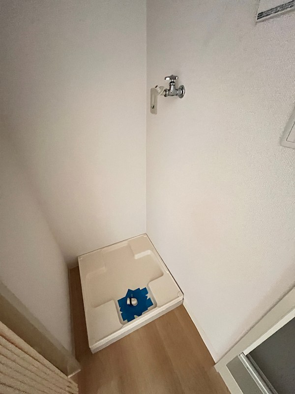 アイリス その他6