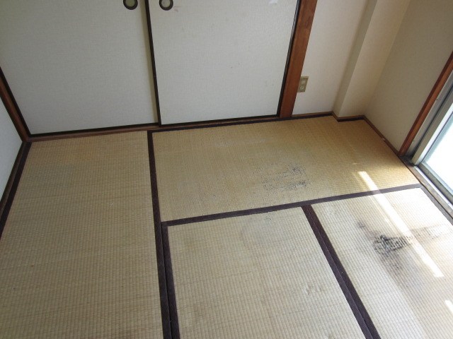 ホワイトハイツ その他1