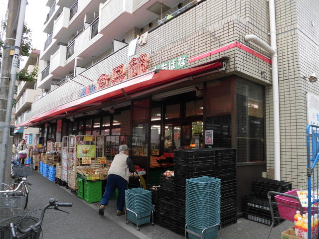 リリックコート平井橋  周辺画像2