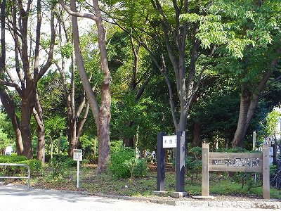 プラウドタワー清澄白河  周辺画像7