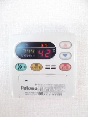 ヴェルドミールカシマ その他9