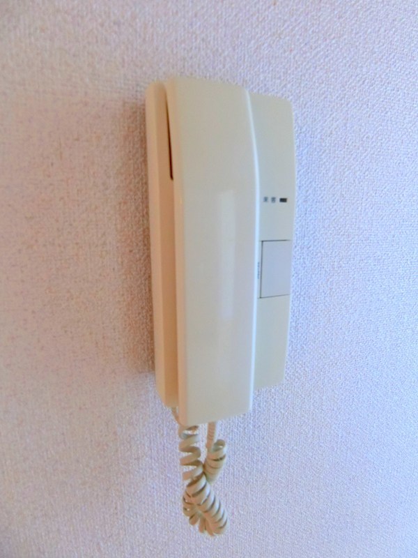 サクシードシゲゼン その他5