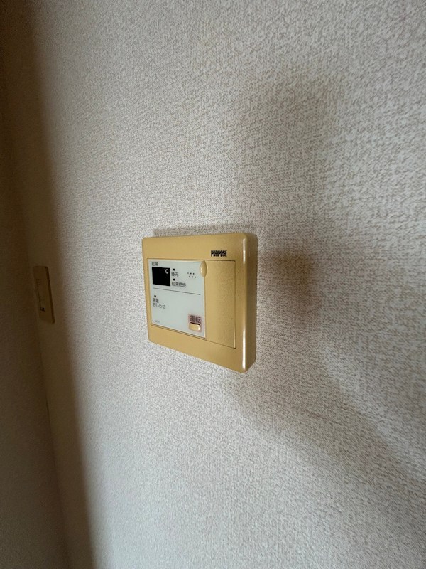 ルミナス・N その他3