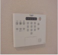 ブラウバウム  その他2
