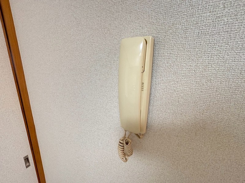 ステラ星野 その他4