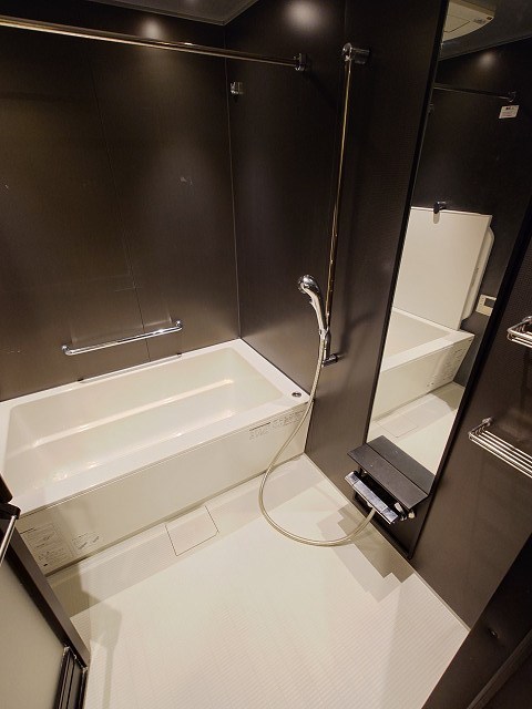 プレシス東京湊THE RESIDENCE 風呂画像