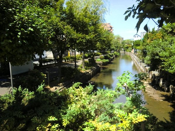 ラフォーレSHINOMIYA 周辺画像8