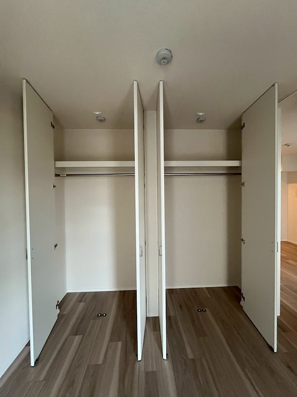 レガリア その他1