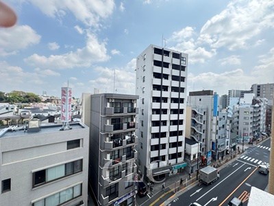 Verdesian その他5