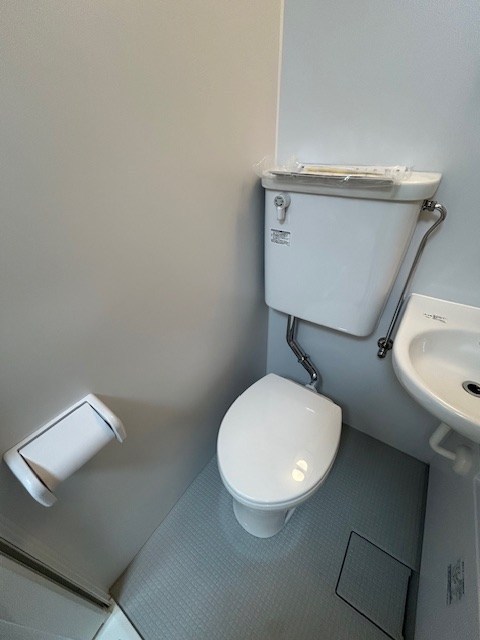 パールヴレイザー  その他4