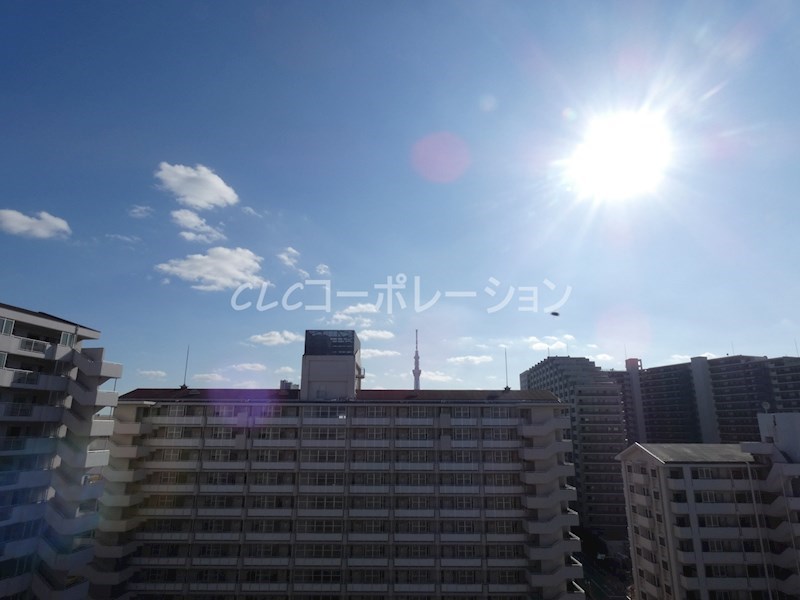 けやき通り南参番館 その他3