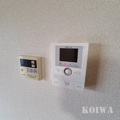 ヴェルドミール   その他5