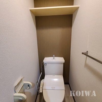 ヴェルドミール   その他4