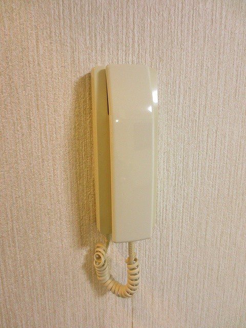 チェルシー泉 その他4