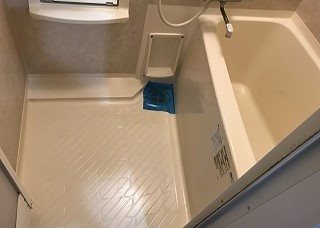 トーシンフェニックス日本橋浜町壱番館  風呂画像