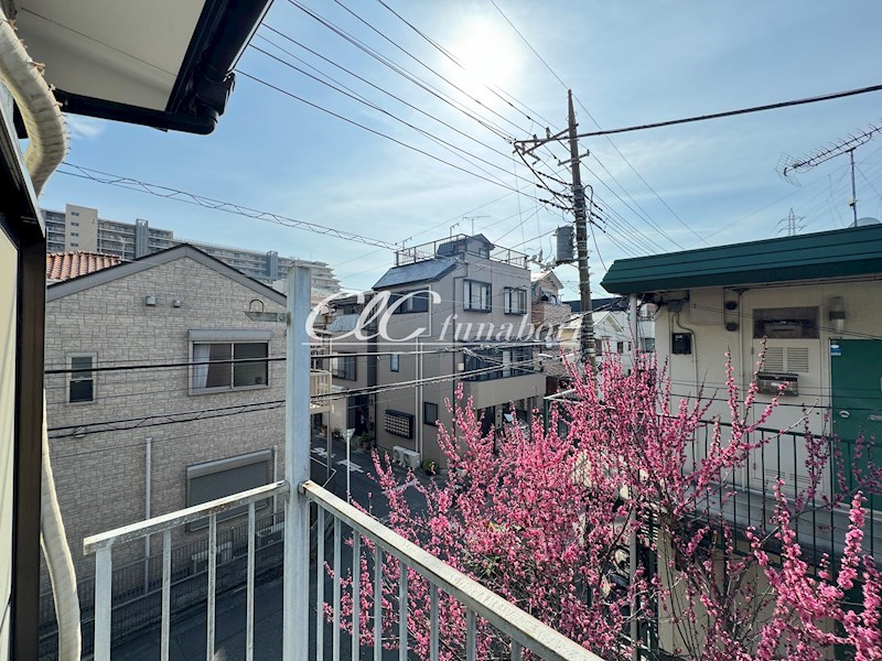 Sasaki no.31 その他6
