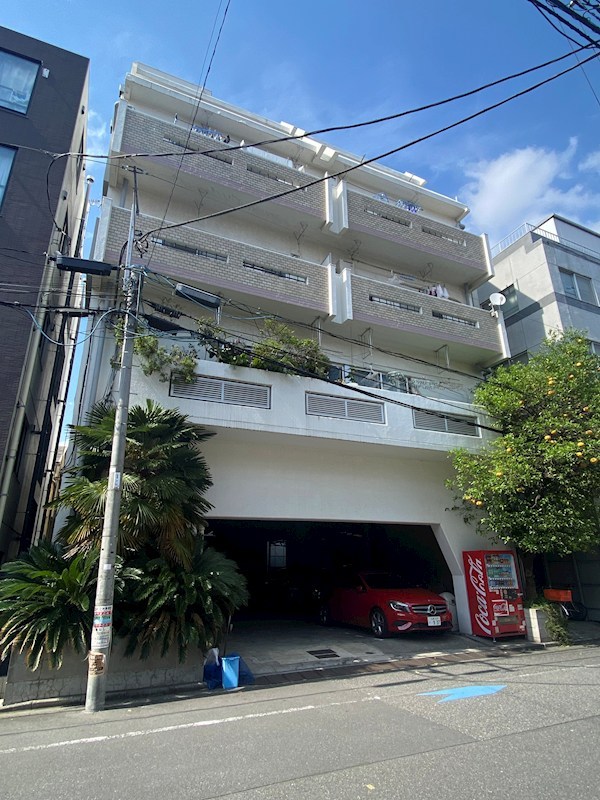 キャッスル石井 外観