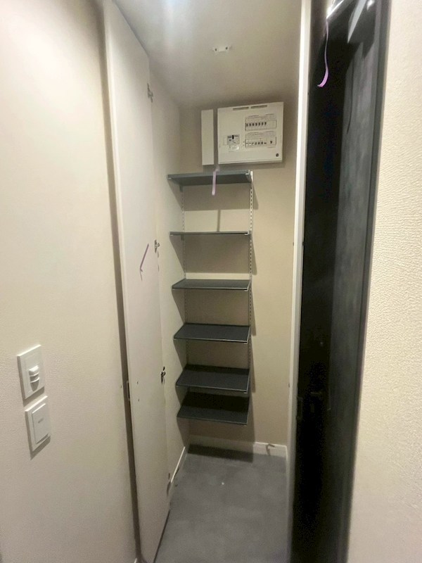 ＯｐｕｓⅢＵｍｅｊｉｍａ その他11