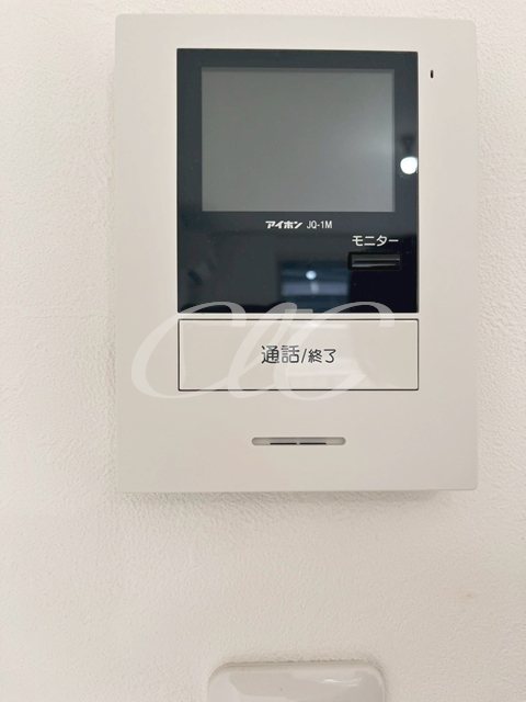 SEMIFUSA その他5