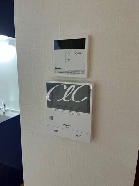 カーサリリー その他3