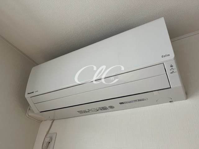 カーサリリー その他6