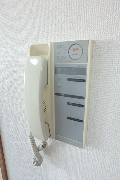ベイ・ドルフィン  その他3