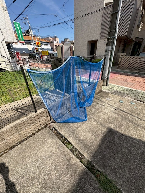 ステラⅡ その他7