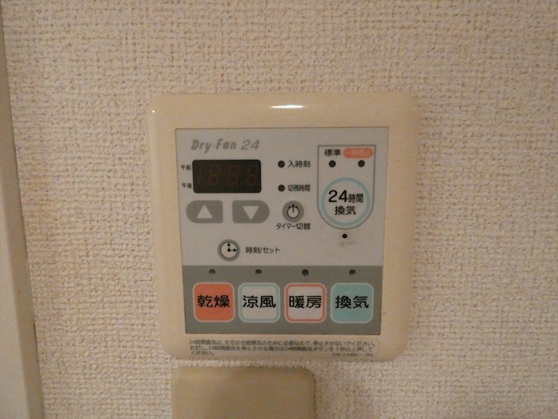 カリーナ その他9