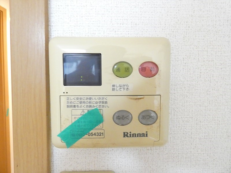 カリーナ その他10